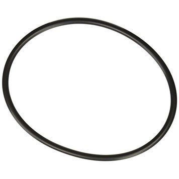 Ущільнювальне кільце для кришки хлоратора Hayward CLX200K 25476 фото