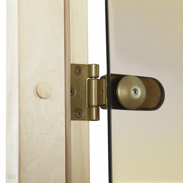 Стеклянная дверь для бани и сауны GREUS Premium 70/200 бронза матовая 107588 фото