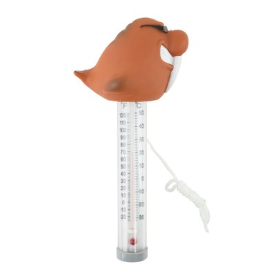 Термометр іграшка Kokido K725DIS/6P Морж Розпродаж! 15166 фото