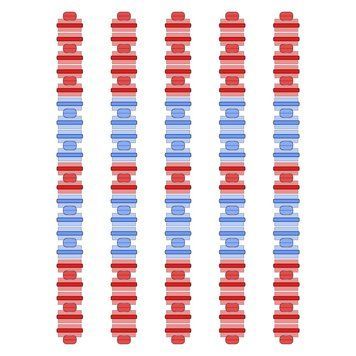 Розділювач доріжки Hayward Big Red/Blue, AISI 316, 25 м 30086 фото